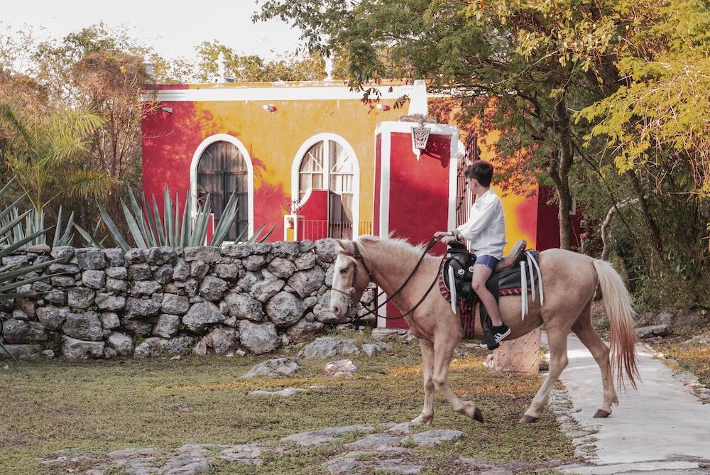 Hotel Hacienda Ticum Tixkokob المظهر الخارجي الصورة